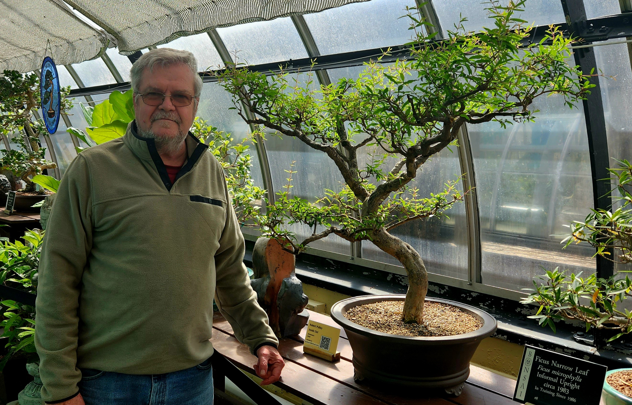 Peter Daroczy with the pomegraniote tree he donated to the Krohn