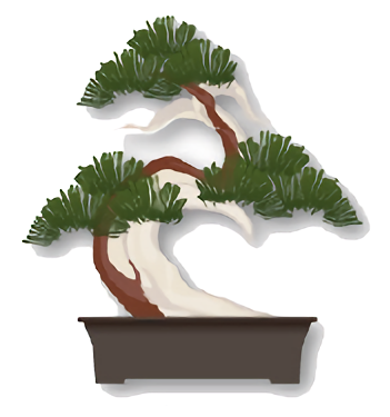 A driftwood bonsai
