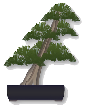 A slanting bonsai tree.