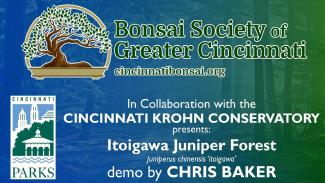 Embedded thumbnail for Bonsai Forest Creation Demo by Artist Chris Baker
