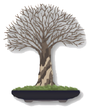 A broom style bonsai tree.