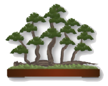 A raft bonsai tree.