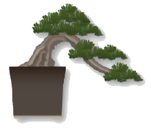 A semi-cascade bonsai tree.